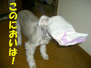 ぬすっと２