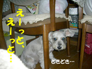 ぬすっと３