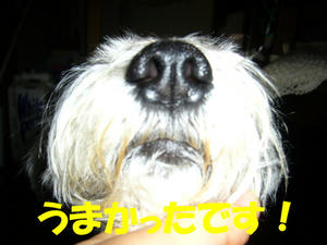 ぬすっと４