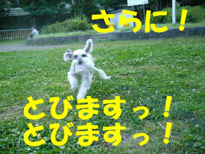 ボール４