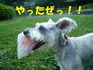 ボール６