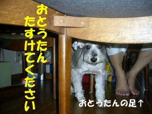 父の日2