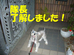夜間訓練