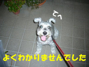 夜間訓練５
