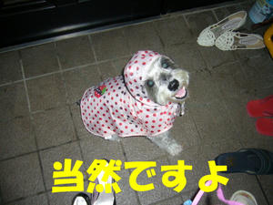 雨２