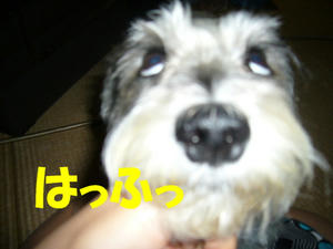あそんで５