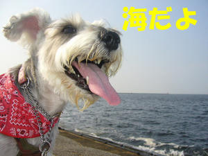 うみかぜ公園１