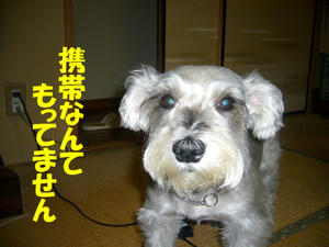 携帯1