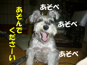 あそべ１