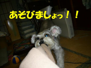 あそべ２