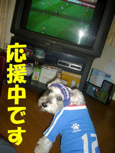 がんばれニッポン2