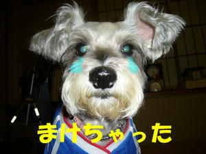 残念でした1