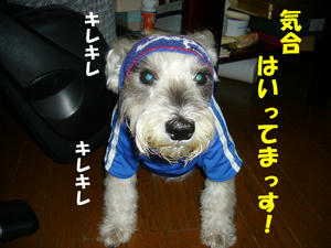 三位だ！