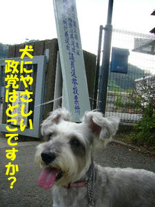 選挙３