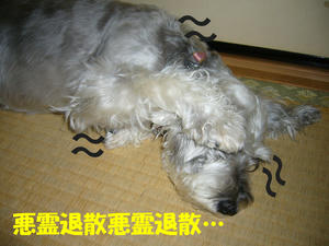 ビリー1