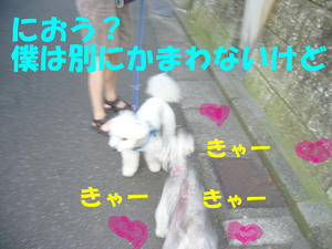 アンジュ2