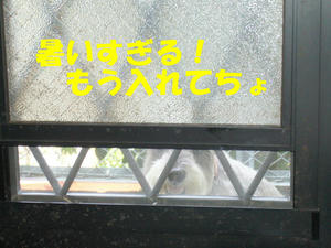 限界１