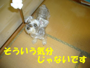 ロープ２
