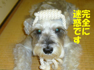 ロープ３