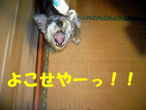 ロープ５