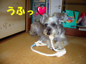 ロープ６