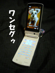 おNEW2