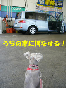 うれしこと