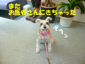 かなしいこと