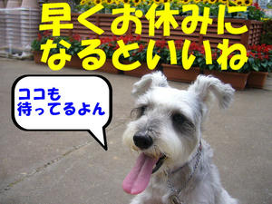 両方