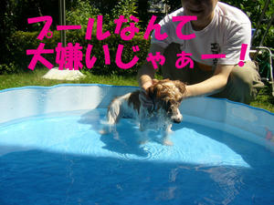 ミユ2