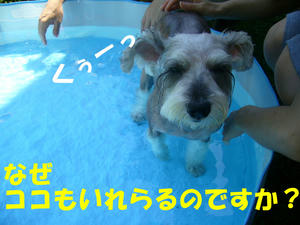 ミユ3