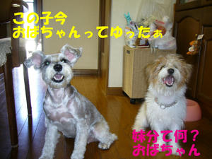 ミユ４