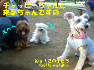 小金井公園2
