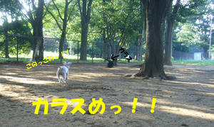 こがねいこうえn7