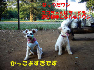 小金井公園7