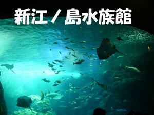 水族館２