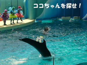 水族館４