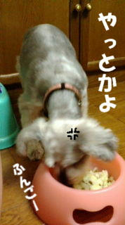 おあずけ3