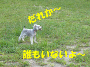 ひとりじめ1