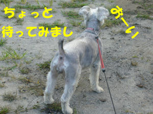 ひとりじめ2