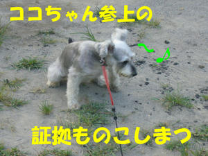 ひとりじめ5