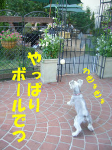カフェ2