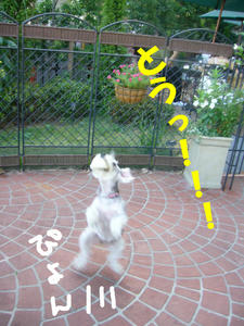 カフェ3