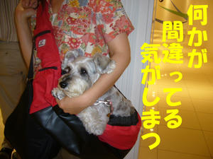 カフェ４