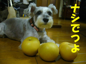 ナシ1