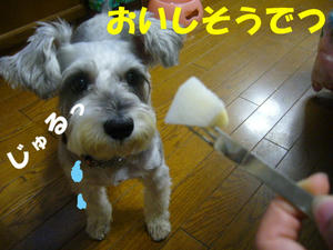 ナシ3