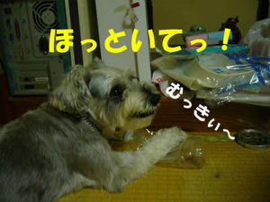 知能テスト5