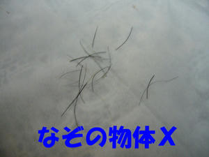 ひげ2