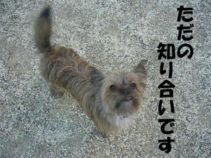 伊豆2