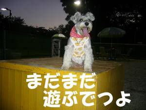 伊豆6